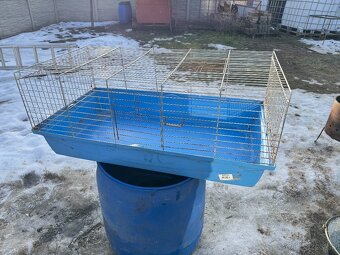 Klientka pre zajaca - 2