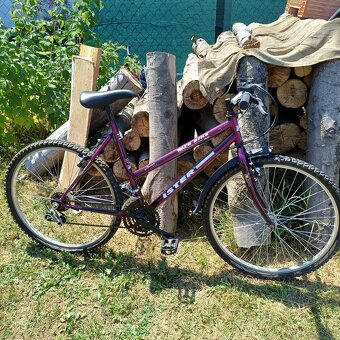 Dámsky bicykel - 2