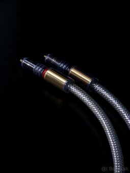 C4Y Audio X-Quisite XQ - 2
