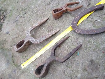 Tlcik motyka podkova - 2