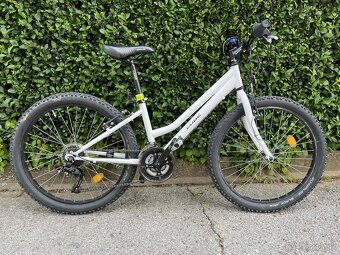 CTM Mony 24" - 2