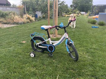 Detský bicykel 14 - 2
