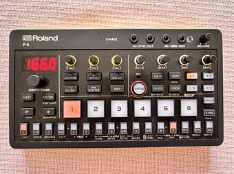 Roland P-6 Compact Creative Sampler - 2
