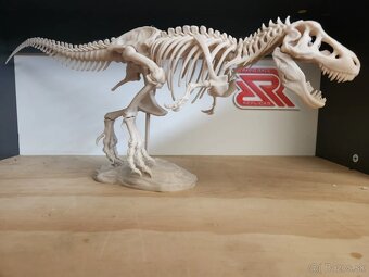 T-Rex - 2