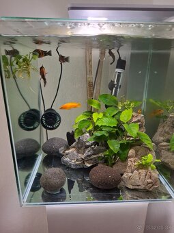Zariadene akvarium komplet - 2