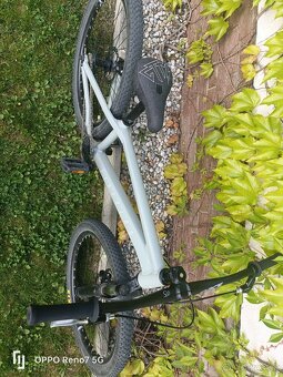 Dirtking CTM 2024 - 2
