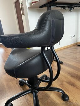 Spinalis rodeo - 2