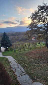 Na predaj pozemok Vinica Kamenica nad Hronom - 2
