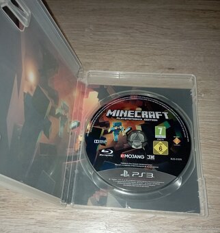 Minecraft PS3 - 2