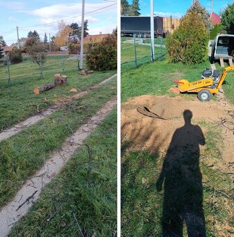 Frézovanie pňov - 2