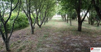 REB.SK Predaj pozemku s veľkou rozlohou Moravské Kračany (ok - 2
