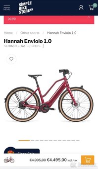 Damsky elektrobike Schindelhauer - 2