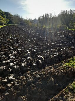 Pluh dvojak vymením za večsi trojak štvorak - 2