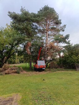 Pílenie a Orezávanie stromov - 2