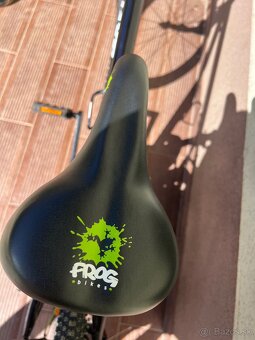 Frog 24 - 2