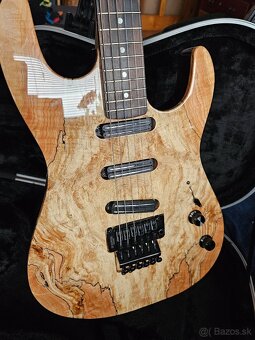 custom handmade gitara od Werne vyrobcu - 2