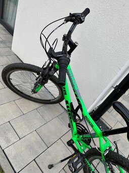 Kenzel Roxis SF24 - 2