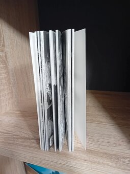 Berserk manga EN #10 - 2