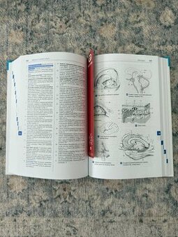 Feneisův obrazový slovník anatomie - 2