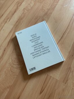 SCHMERZBUCH RITA KOSZORÚS - 2