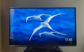 Televízor Panasonic TX-50AS650E - 2