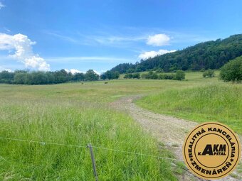 Pozemok na predaj, 13 237 m2 Slatinské Lazy, okres Detva - 2