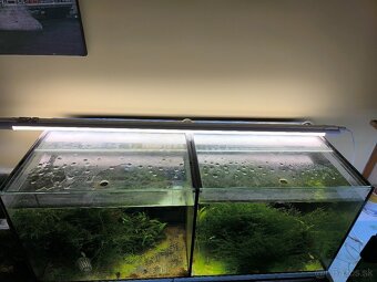 Akvárium 100x40x40 (160l) - 2