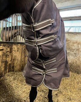 Zimna deka, alavis - 2