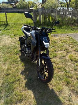 CF Moto 300 NK - 2