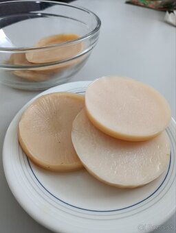 KOMBUCHA a KEFIROVÉ ZRNÁ - 2
