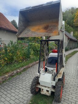 Bobcat - 2