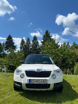 skoda yeti - 2