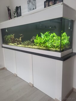 Akvárium 200×55×40 - 2