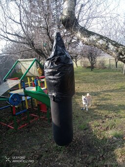 Boxovacie vrece vysoké - 2