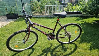 Damsky Bicykel - 2