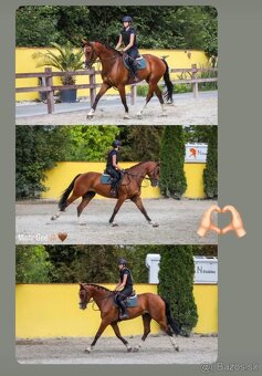 FEŠÁK NA HOBBY I SPORT - 2