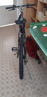 Horsky bicygel - 2