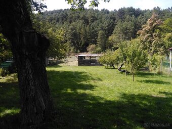 Dom s veľkým pozemkom - 2
