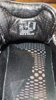 Ecco biom č.39 - 2
