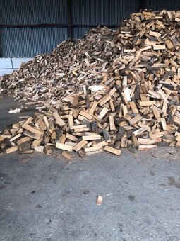 Suché palivové drevo buk dub agat - 2