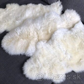 BIELE OVČIE KOŽUŠINY - 2