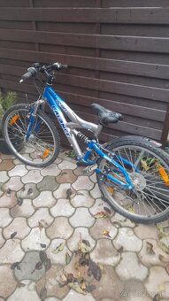 Bicykle 50eur/kus - 2