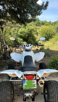 Dinli Masai 450S - 2