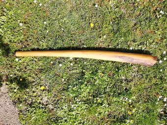 Didgeridoo - 2