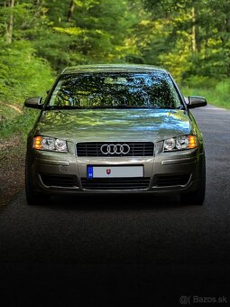 Audi A3 8P 1.9TDI 77KW BXE bez DPF - 2