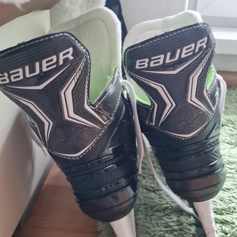 KORČULE BAUER  XLS - 2