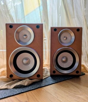 PAnasonic SB-PM21 - 2