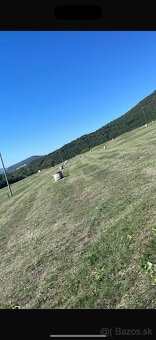 Kosenie-mulčovanie pozemkov//Pílenie//Orez stromov - 2