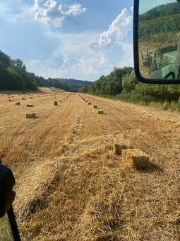 Malé balíky-Slama - 2