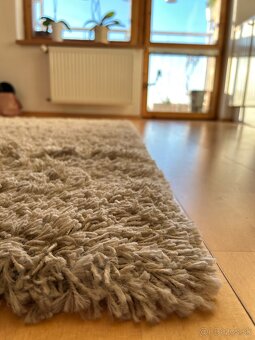 Béžový koberec s dlhým vlasom - 2